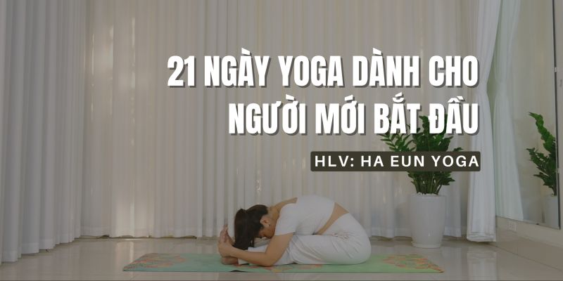 21 Ngày Yoga Dành Cho Người Mới Bắt Đầu